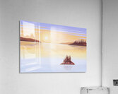 Morning Glory Acrylic Print