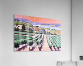 Sun Kissed Okanagan Vineyard Acrylic Print