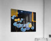 Blue Lilypads Yellow flowers  Acrylic Print