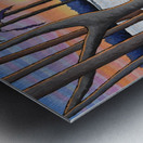 Woods Walk Metal print