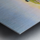 A Quiet Dawn Metal print