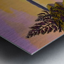 Late Afternoon Discovery  Metal print