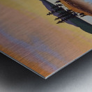 Morning Blues  Metal print