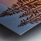 Warm Reflections  Metal print