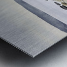  Dog on a Rocky Shore  Metal print