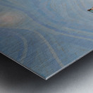 Kite Flyer Metal print