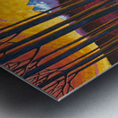 Late Afternoon Capilano Lake Metal print