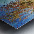 Road to Wine Country Metal print