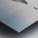 Crystal Cape Metal print