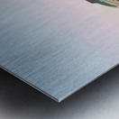 Maritime Morning Metal print