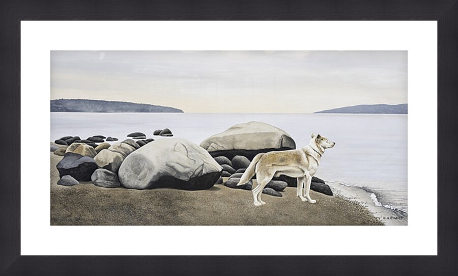  Dog on a Rocky Shore  Picture Frame Printing