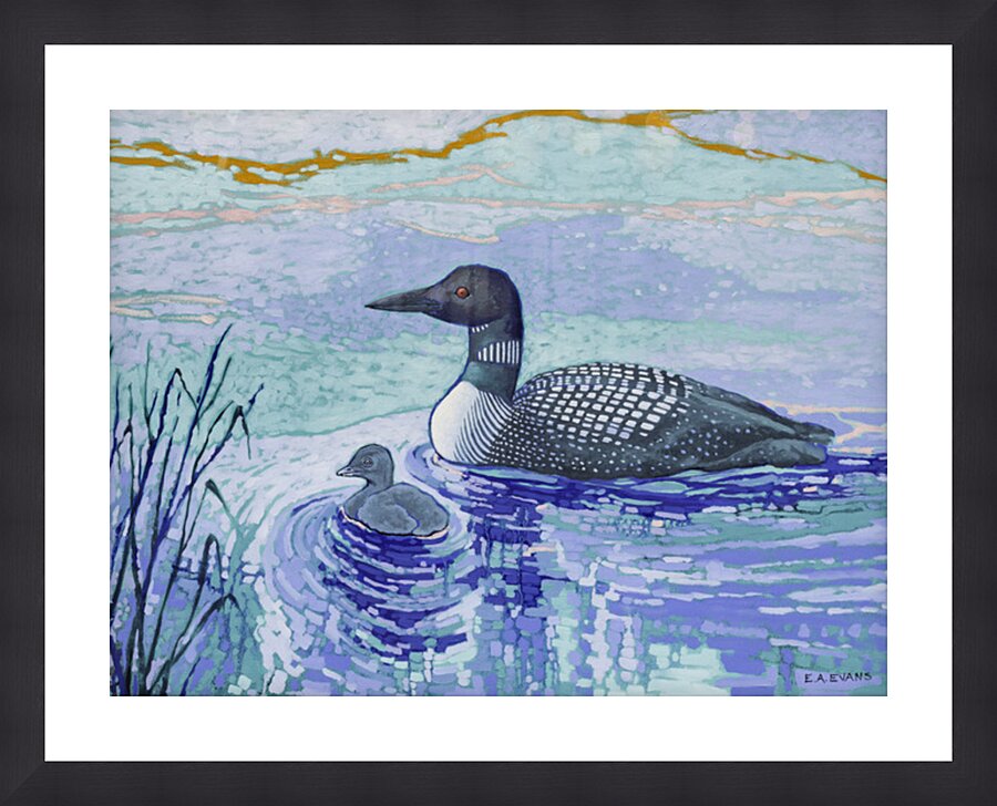 The Loon Picture Frame Printing