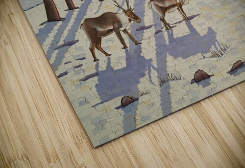 The Last Migration Elizabeth A Evans puzzle