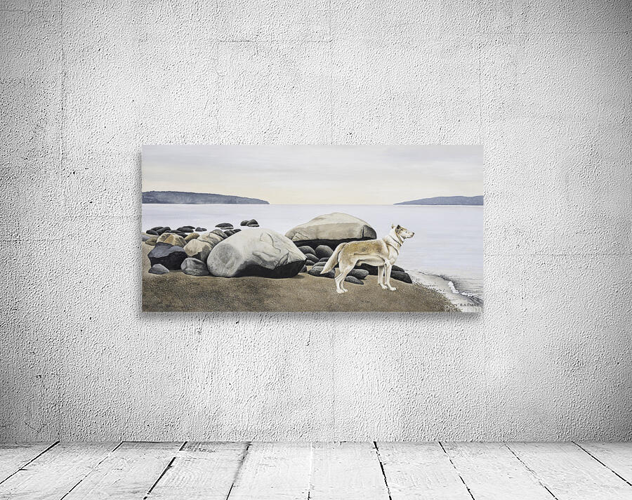  Dog on a Rocky Shore  Wall Preview