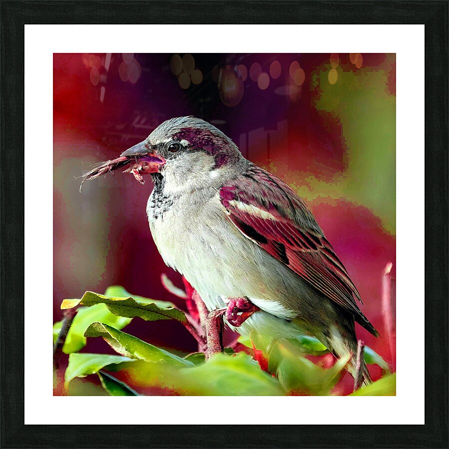 Natures Symphony: A Tapestry of Floral Beauty and Avian Grace Picture Frame print