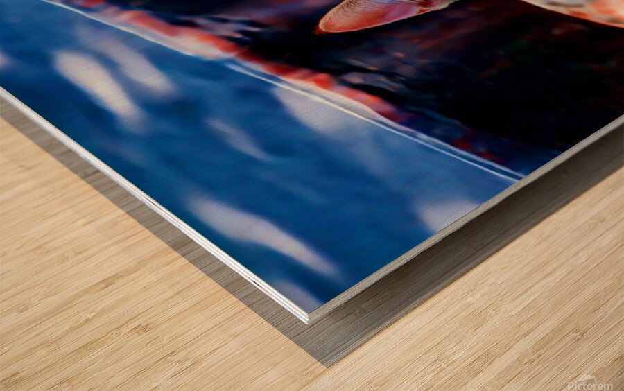 A Calico Cutie: A Symphony of Feline Beauty Wood print