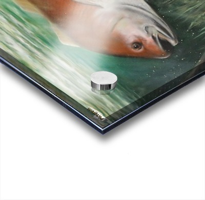redfish Acrylic print