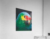 Sam Acrylic Print
