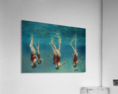 swimmers Acrylic Print