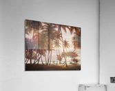 morning beach Acrylic Print