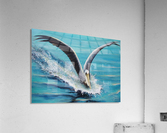 splash Acrylic Print