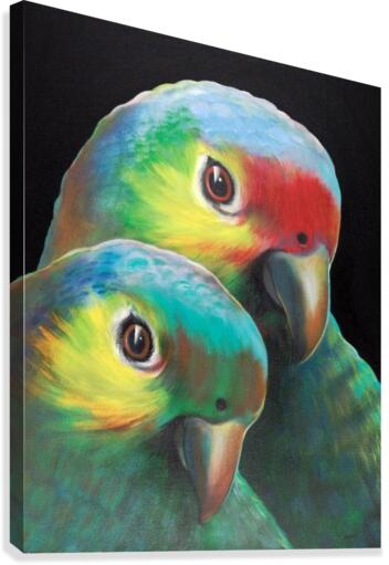 Sam and awesam Canvas Print