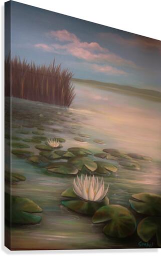 water lillies Canvas Print