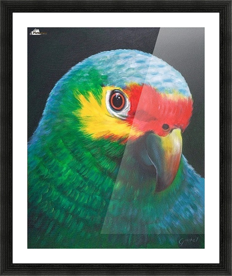 Sam Picture Frame print