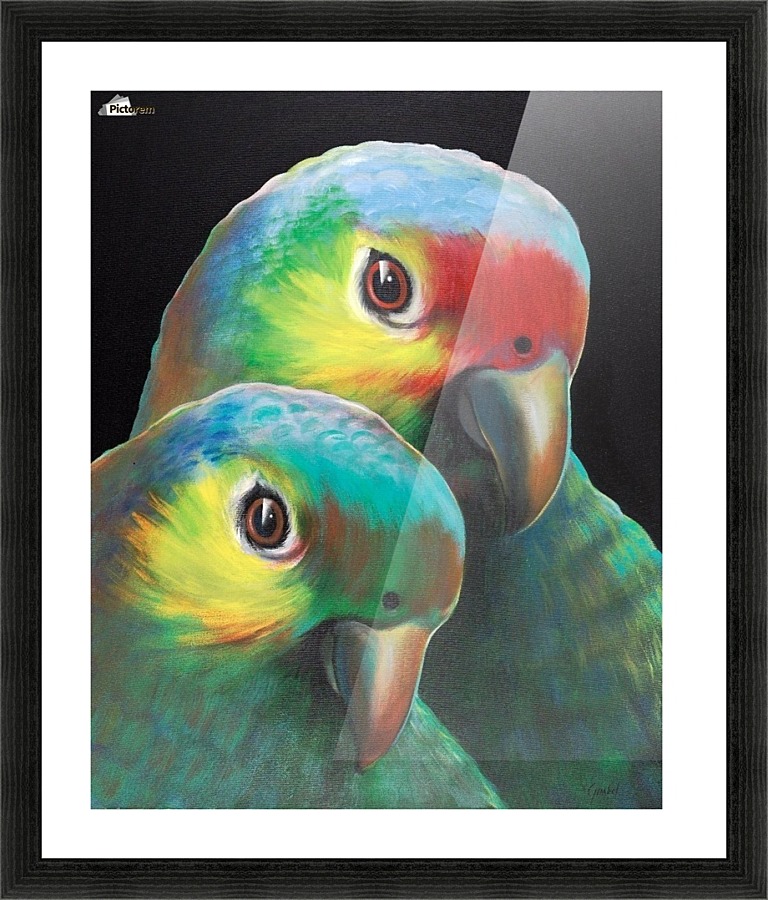 Sam and awesam Picture Frame print