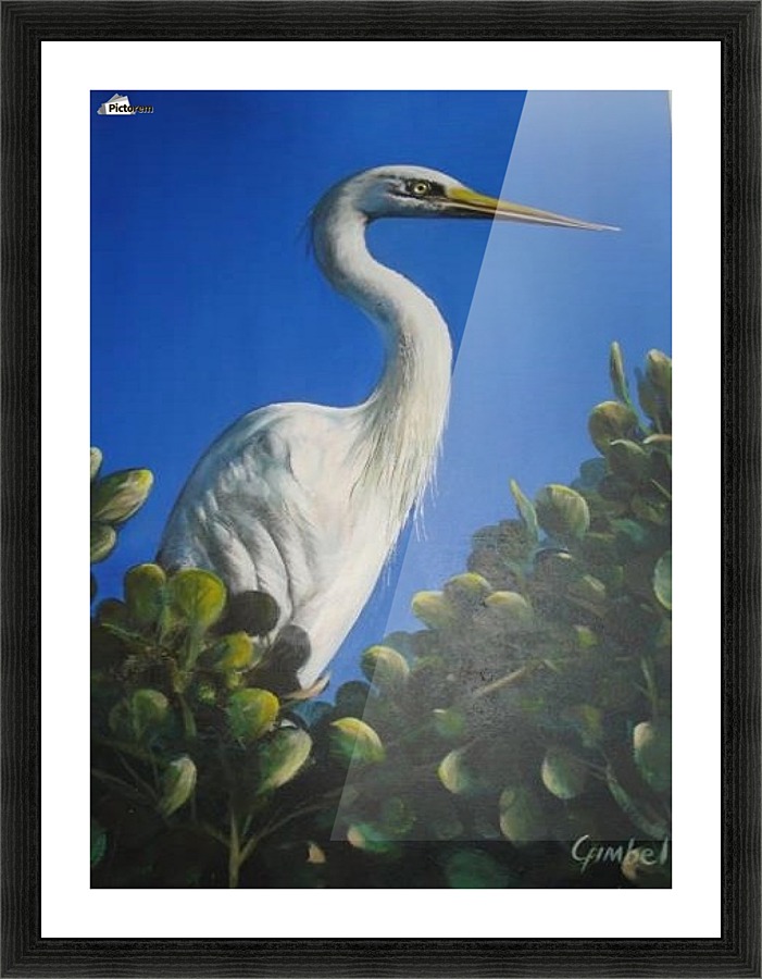 White Heron 1 Picture Frame print