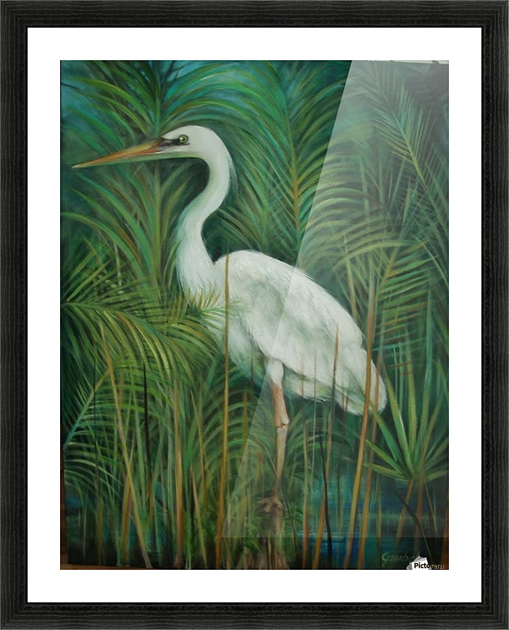 white heron 2 Picture Frame print