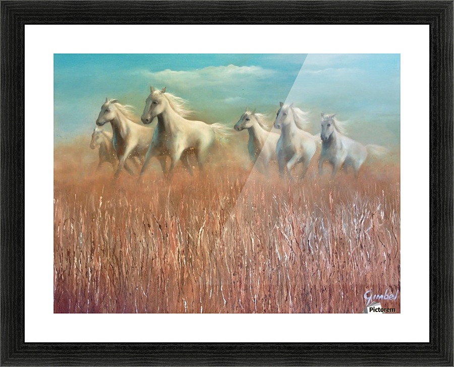 camarque  Picture Frame print
