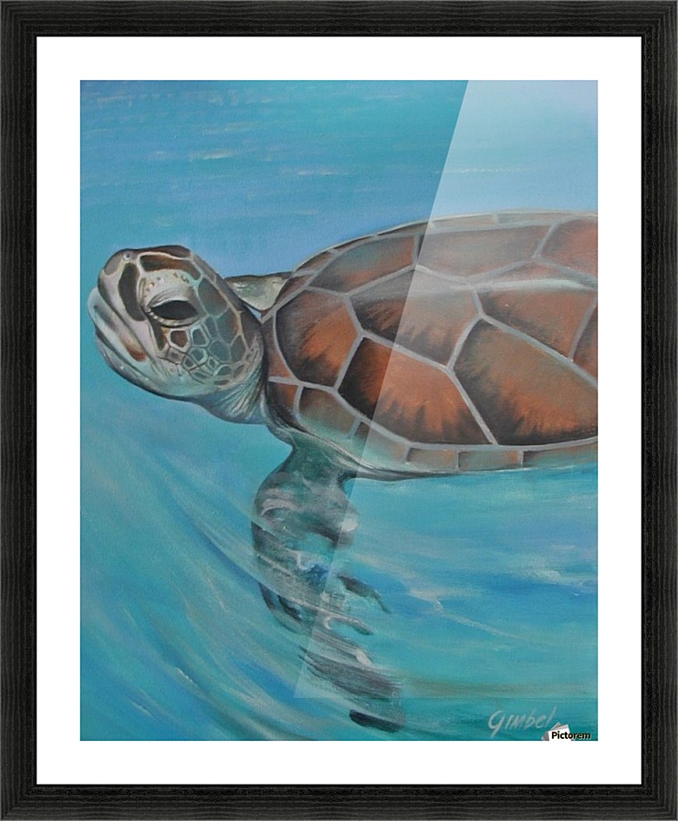 turtle Picture Frame print