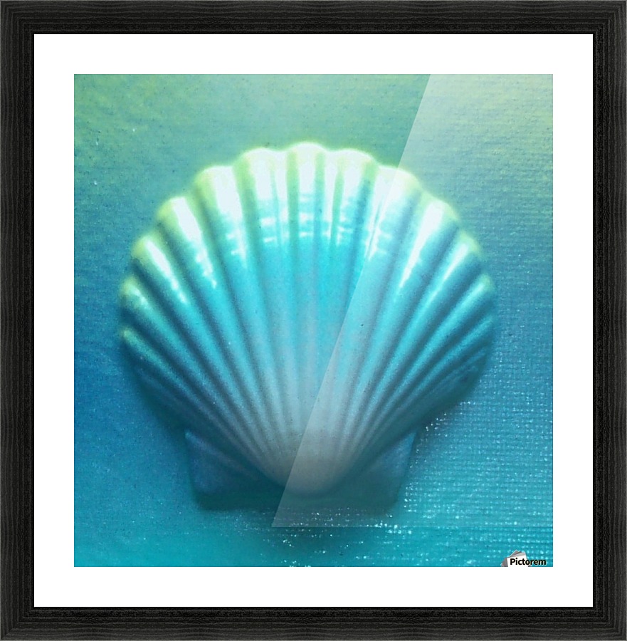 Blue Shell Picture Frame print