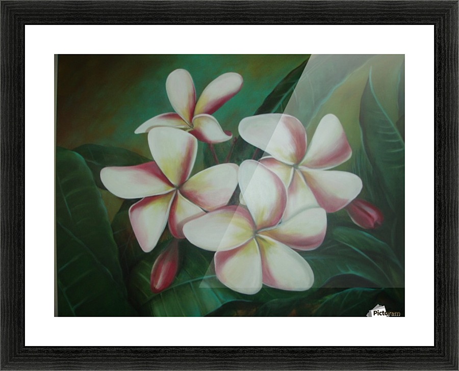 plumaria Picture Frame print