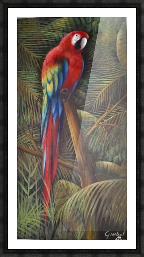 Parrot Picture Frame print