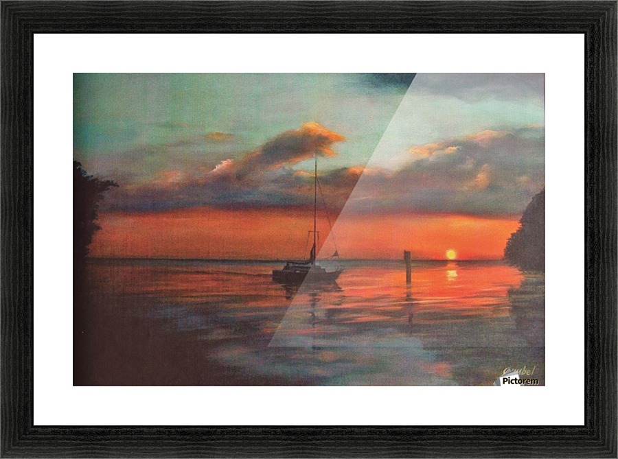 alligator creek Picture Frame print