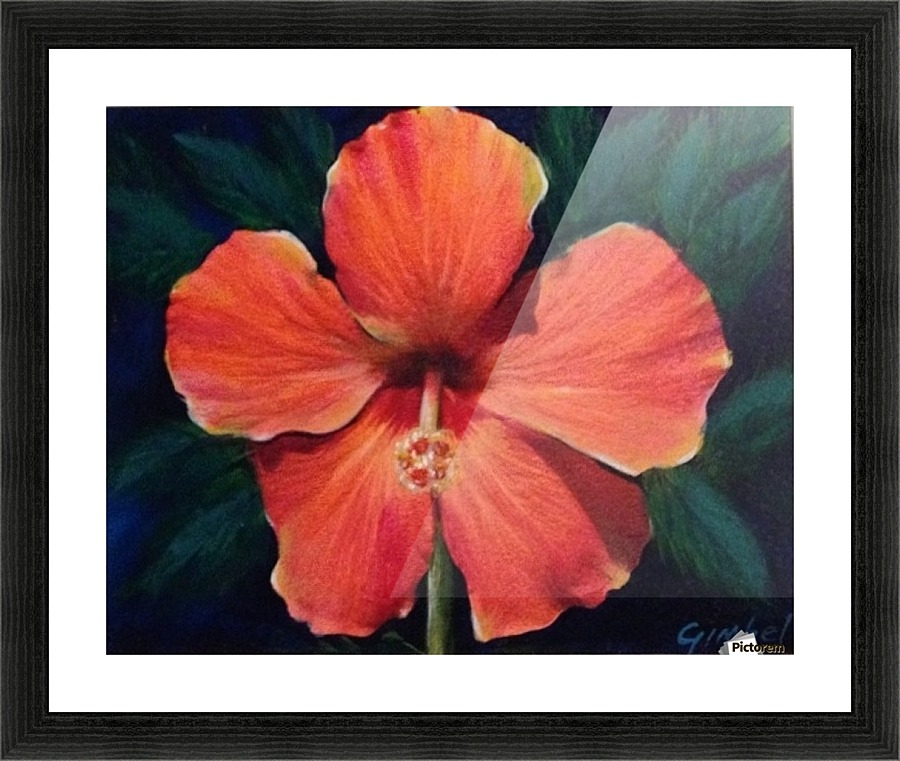Hibiscus Picture Frame print