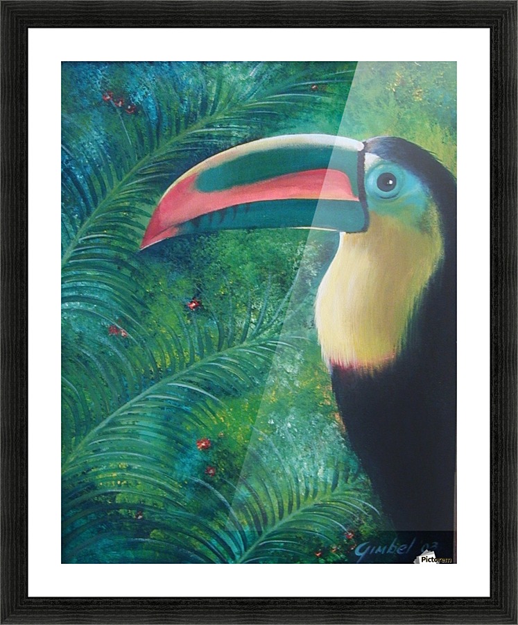 toucan Picture Frame print