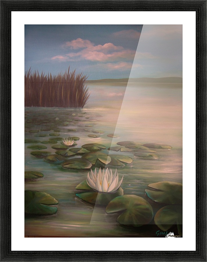 water lillies Picture Frame print