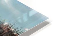 Sand dunes HD Metal print