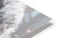Monroe HD Metal print