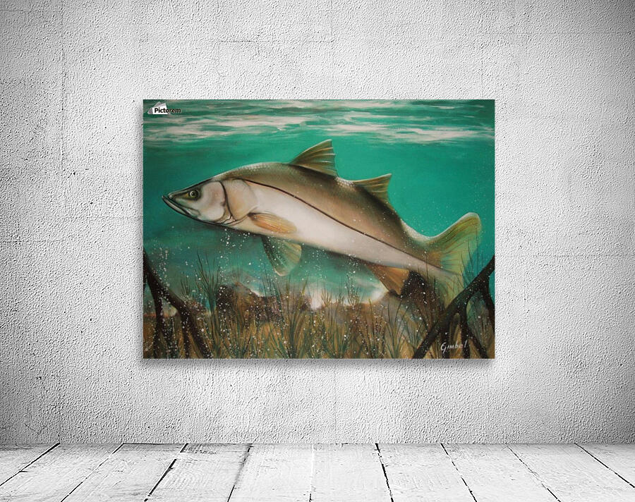 snook Wall Preview