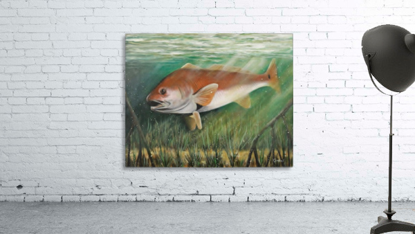 redfish Wall Preview