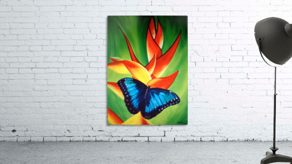 blue butterfly    Wall Preview