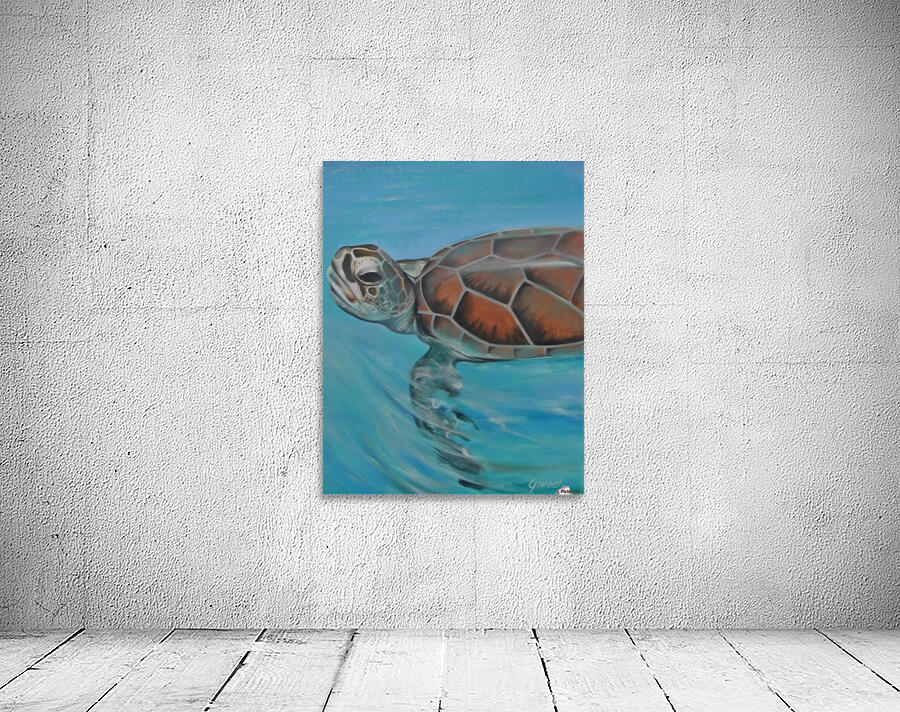 turtle Wall Preview