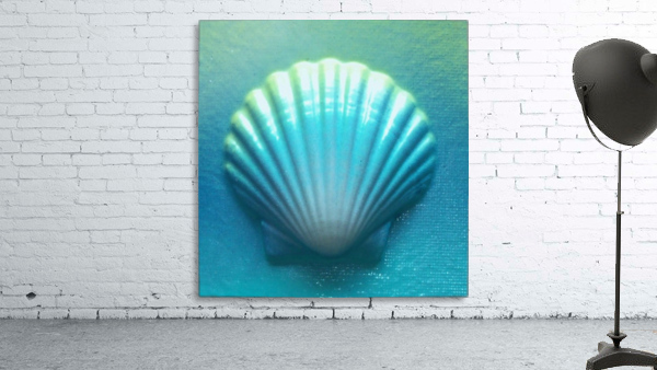 Blue Shell Wall Preview