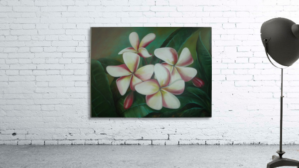 plumaria Wall Preview