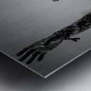 DSC07865 Metal print