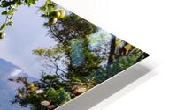 IMG 1726 HD Metal print
